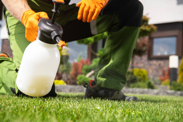 Best Pest Removal Services  in Sitka, AK