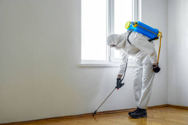 Best Pest Control Treatment  in Sitka, AK