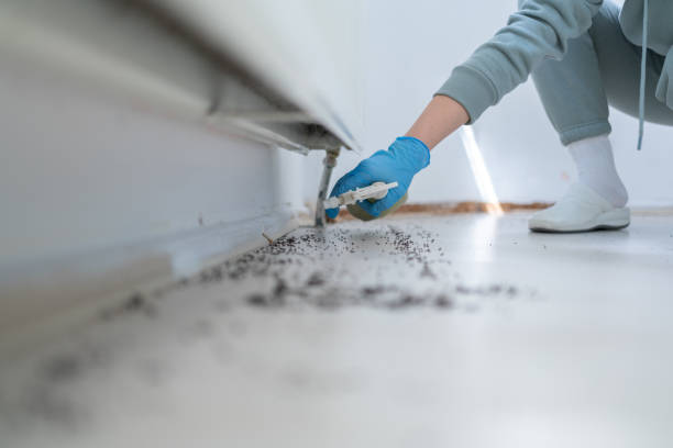 Best Pest Inspection Near Me  in Sitka, AK